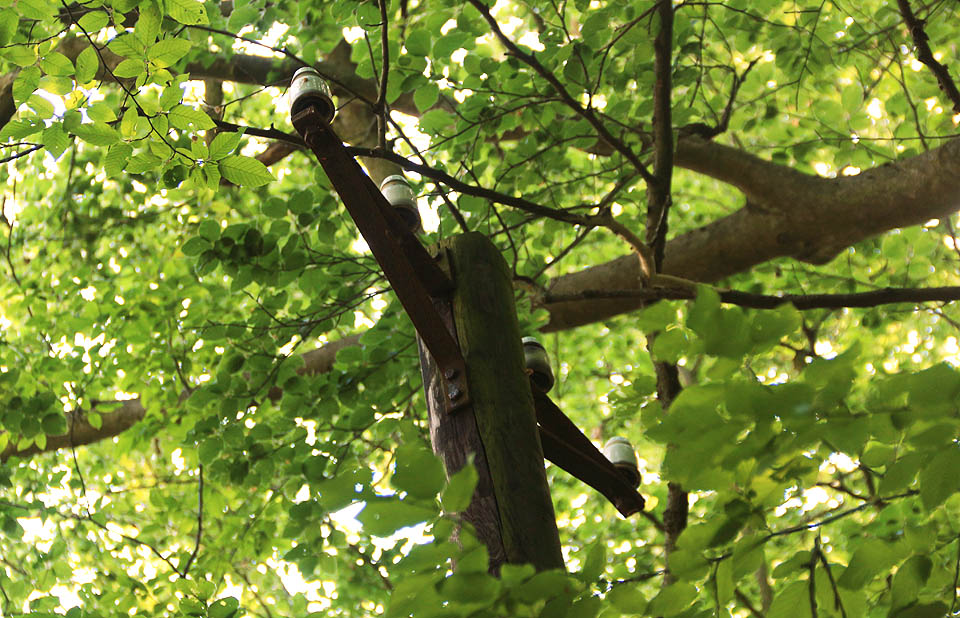 Pozůstatky po telefonní lince do strojíren lze nalézt v okolních lesích dodnes.