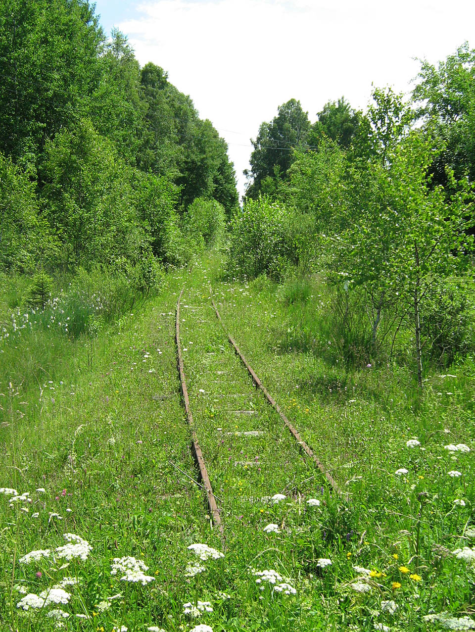 Vyšší část trati v otvírajícím se horském údolí v roce 2009 teprve čekala na rekonstrukci (přejezd u Smereku).