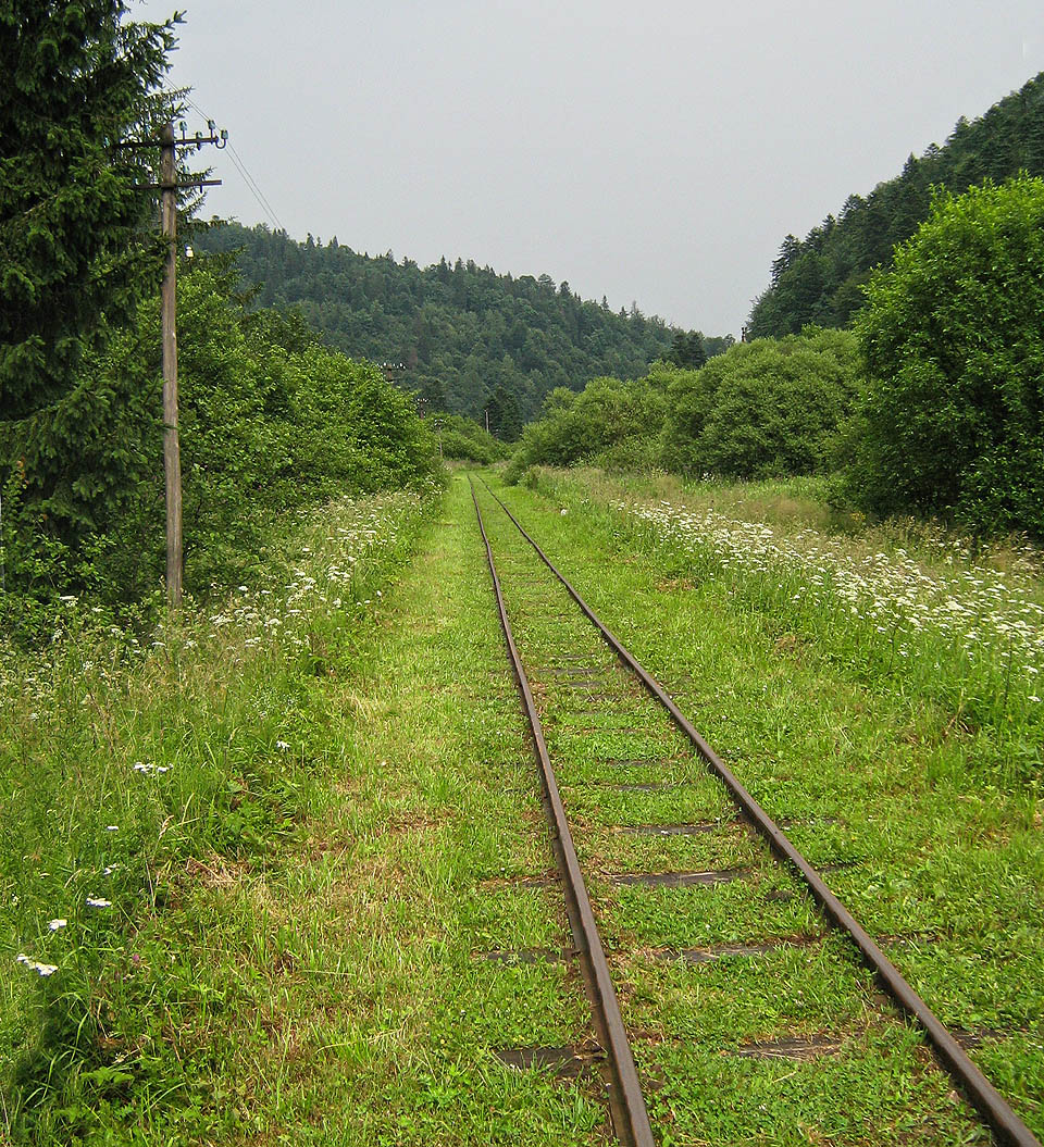 Rovný úsek trati před stanicí Cisna.