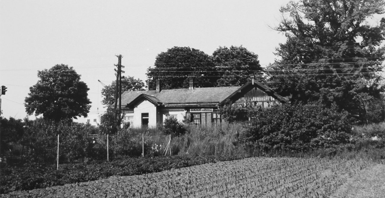 Na fotografii z Archivu města Brna je zachycena zastávka Brněnské Ivanovice z prostoru od Popelovy ulice zřejmě v 70. létech 20. století.