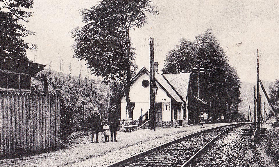 Železniční zastávka Jehnice před rokem 1940. Pohled od severu vyvolává dojem, že zastávka stojí na dně údolí, nicméně zeleň vlevo za budovou je tvořena korunami stromů nad rybníkem. Pohlednici laskavě poskytl Roman Jeschke.