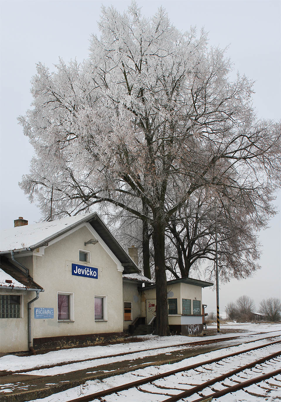Málokterá železniční stanice se může pochlubit tak pěknými stromy, jaké poskytují stín a ochranu výpravní budově v Jevíčku.