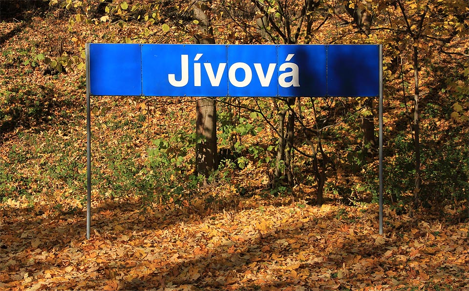 Zastávka Jívová se nachází v hlubokém údolí, ze všech stran obklopená lesem.