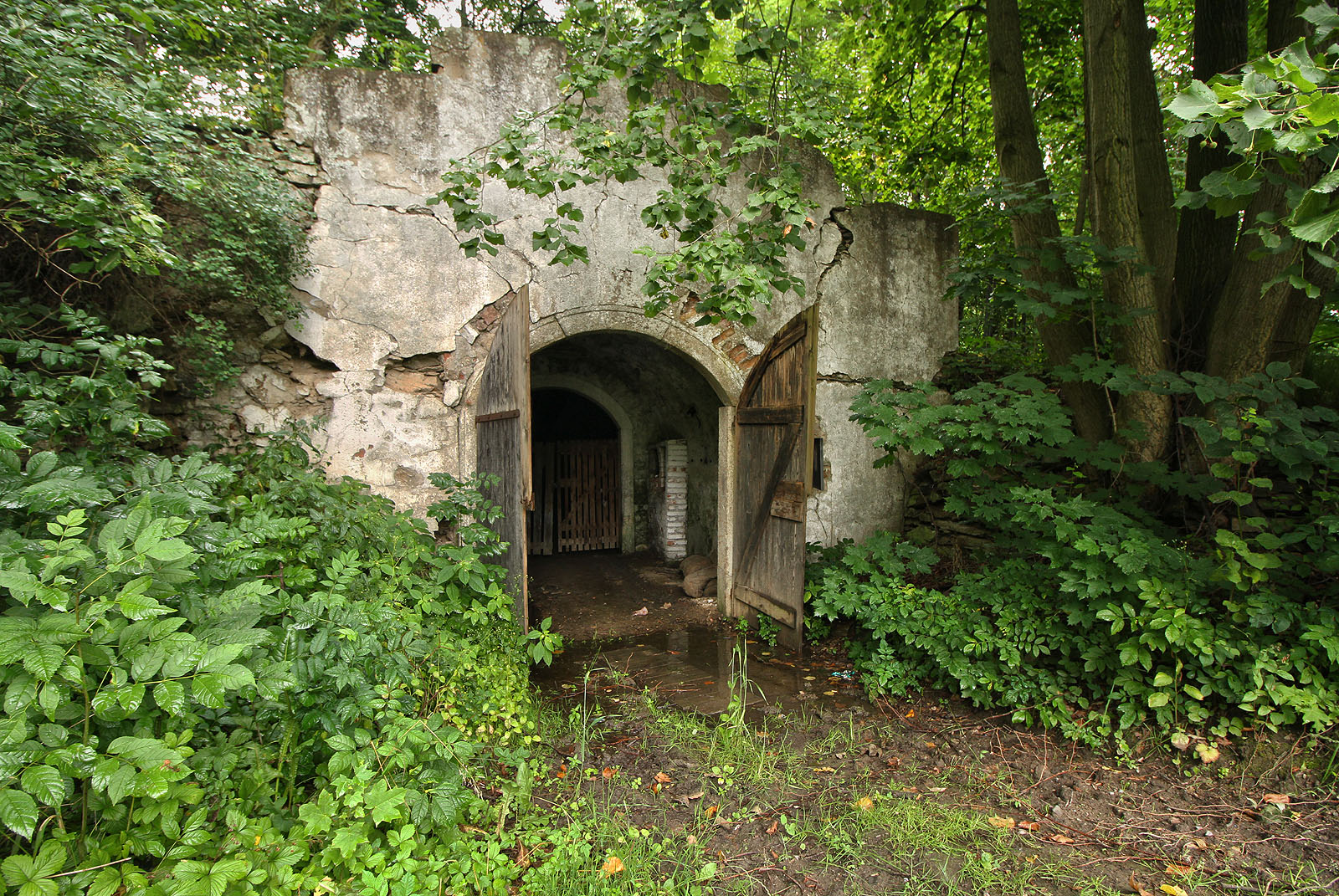 Pohled na romanticky vypadající vstup do lihovarského sklepa v Přibyslavi za nádražím dává tušit, že nadloží hloubeného tunelu je pouze několik desítek cm zeminy.