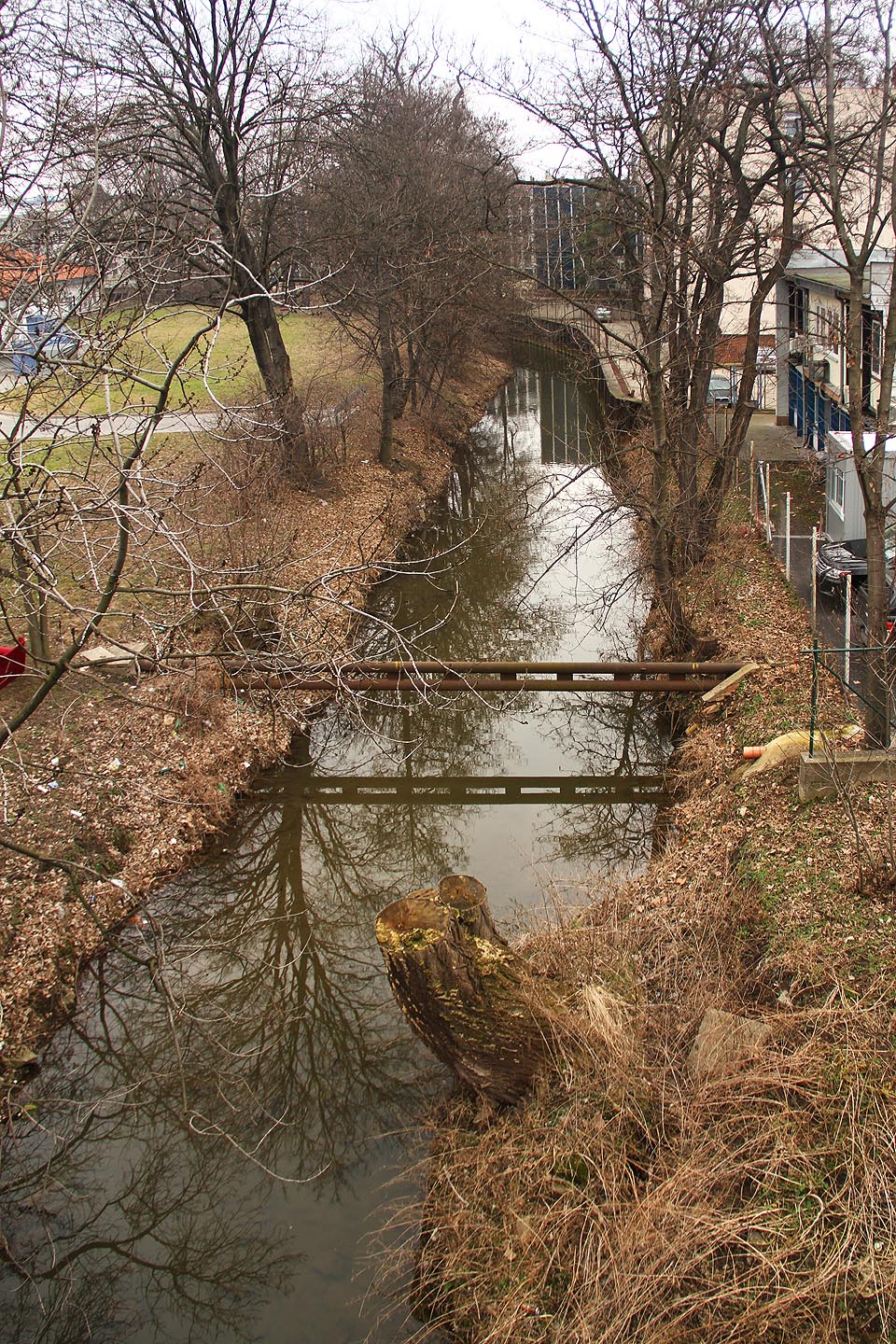 Díky peřejce pod železniční trati z dolního nádraží do Černovic je pátý úsek náhonu jeho nejhlubší částí a kupodivu v něm žije poměrně hodně ryb.