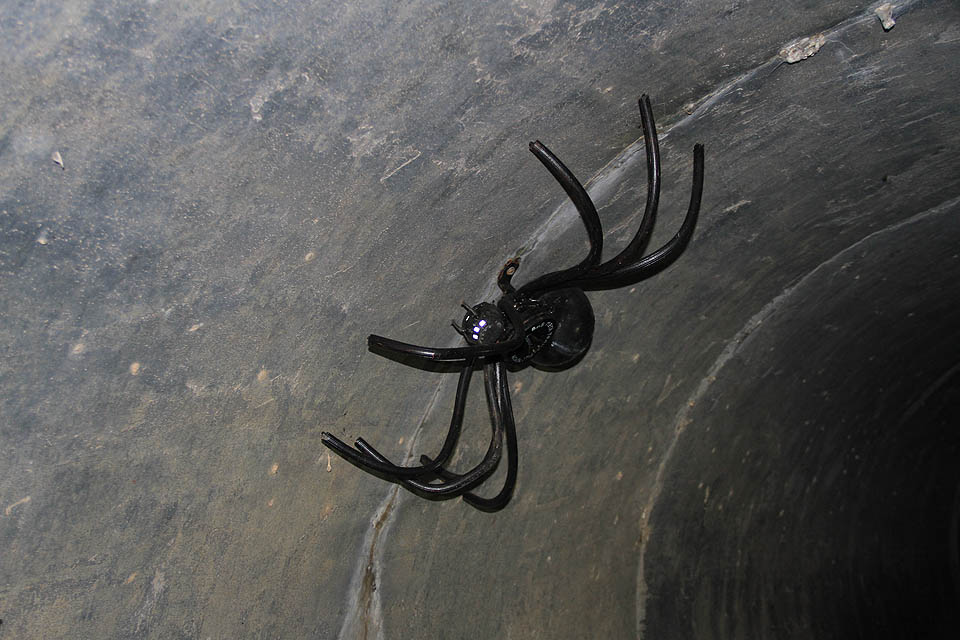 Šedesáticentimetrový pavouk na místě, kam lidská noha moc často nevkročí vyvolá u nepřipraveného pátrače chuť opustit tunel pokud možno co nejvyšší rychlostí. 
