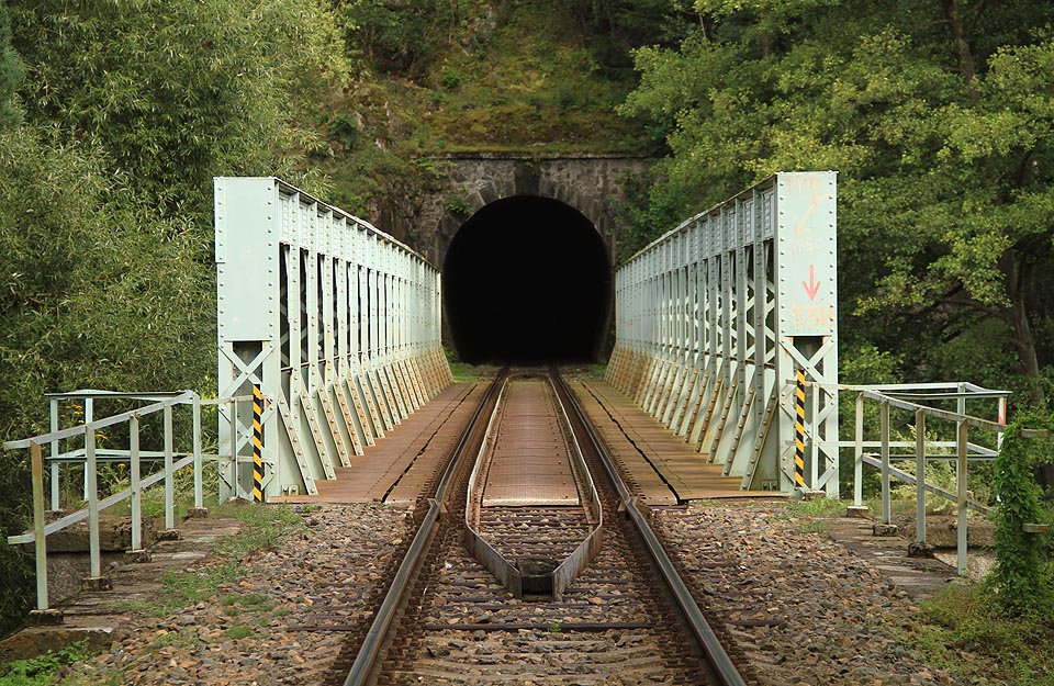 Vjezd do Velkého Plasského tunelu od severu, bezprostředně za zastávkou Horní Hradiště.