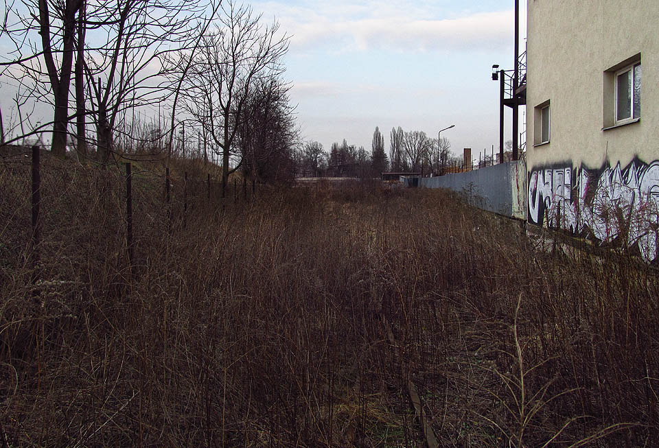 Na dvojici kolejí za branou pomalu raší lesík. Koleje ale nejsou součástí slévárenské vlečky.