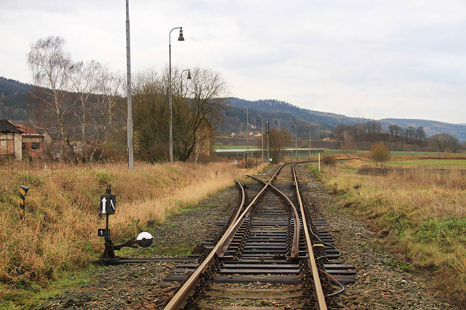 Na tuhle kolej čekal baron Königswarter 13 let. Mezitím se dřevo vozilo do Skalice k vlaku povozy.