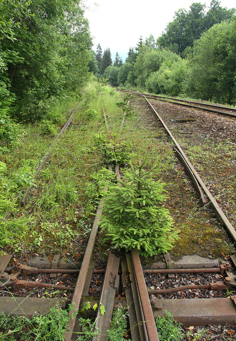 Spojovací kolej mezi hlavní drahou a vlečkou už desítky let nehostila žádný vlak.