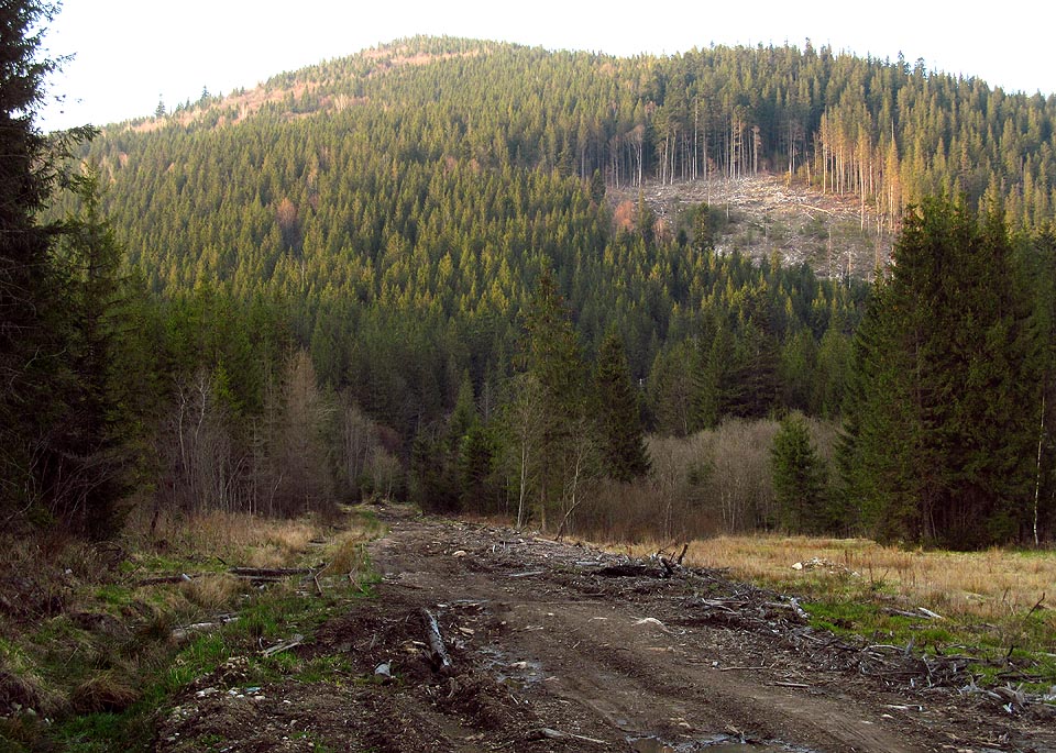 Poslední zbytky úzkorozchodných kolejí a opuštěné těleso vyhodské lesní drážky pod karpatským hřebenem blízko obce Вишків ve Lvovské oblasti na Ukrajině.