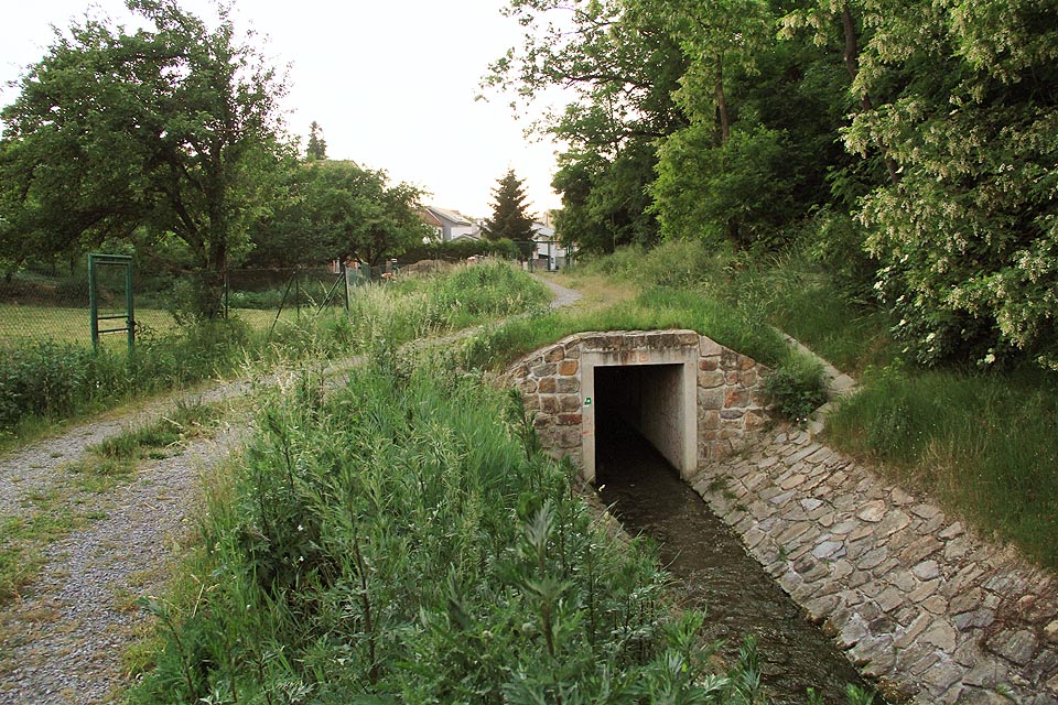 Na povrch se Líšeňský potok dostává z <a href=/Tema/Tunel%20L%C3%AD%C5%A1e%C5%88sk%C3%A9ho%20potoka>podzemí</a> až v údolí pod ulicí Podhorní.</a>