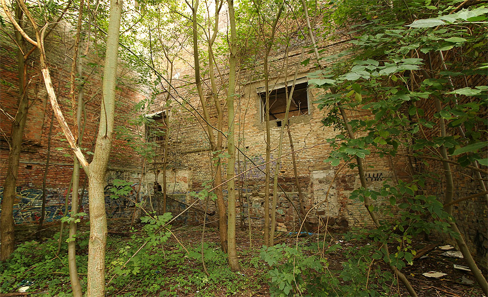 Zákoutí na severní straně areálů přímo zve k návštěvě vytlučenými okny a přívětivým přítmím bujné vegetace. Tak nějak si představujeme vstup do Kocouřího hrádku ve Stínadlech.